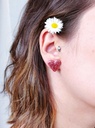 Coeurs Pailletés
